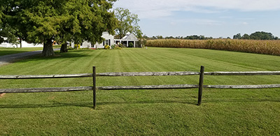 Lawn mowing thumbnail